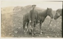 Image of Icelander and horses